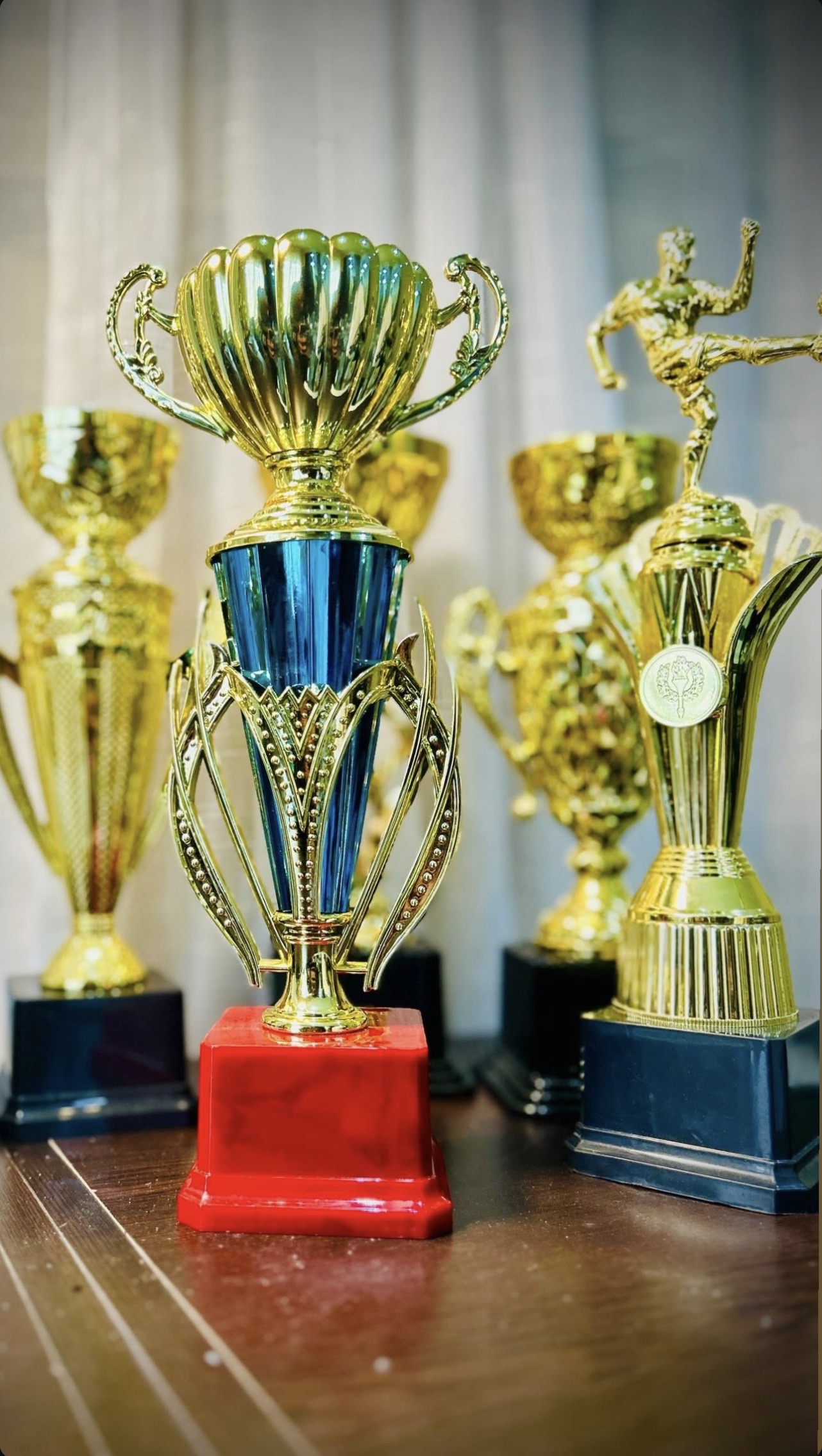 Collection trophées sport & coupes