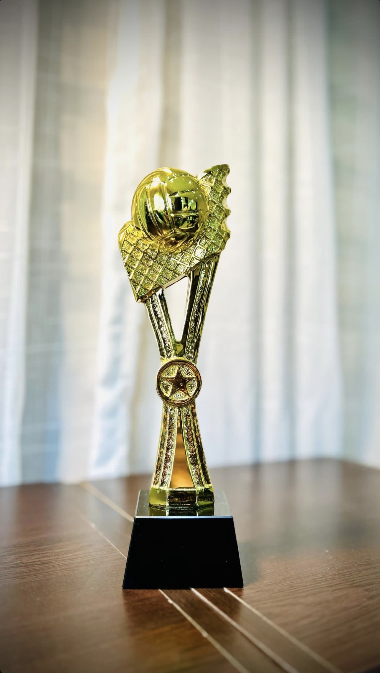 Trophée volleyball filet