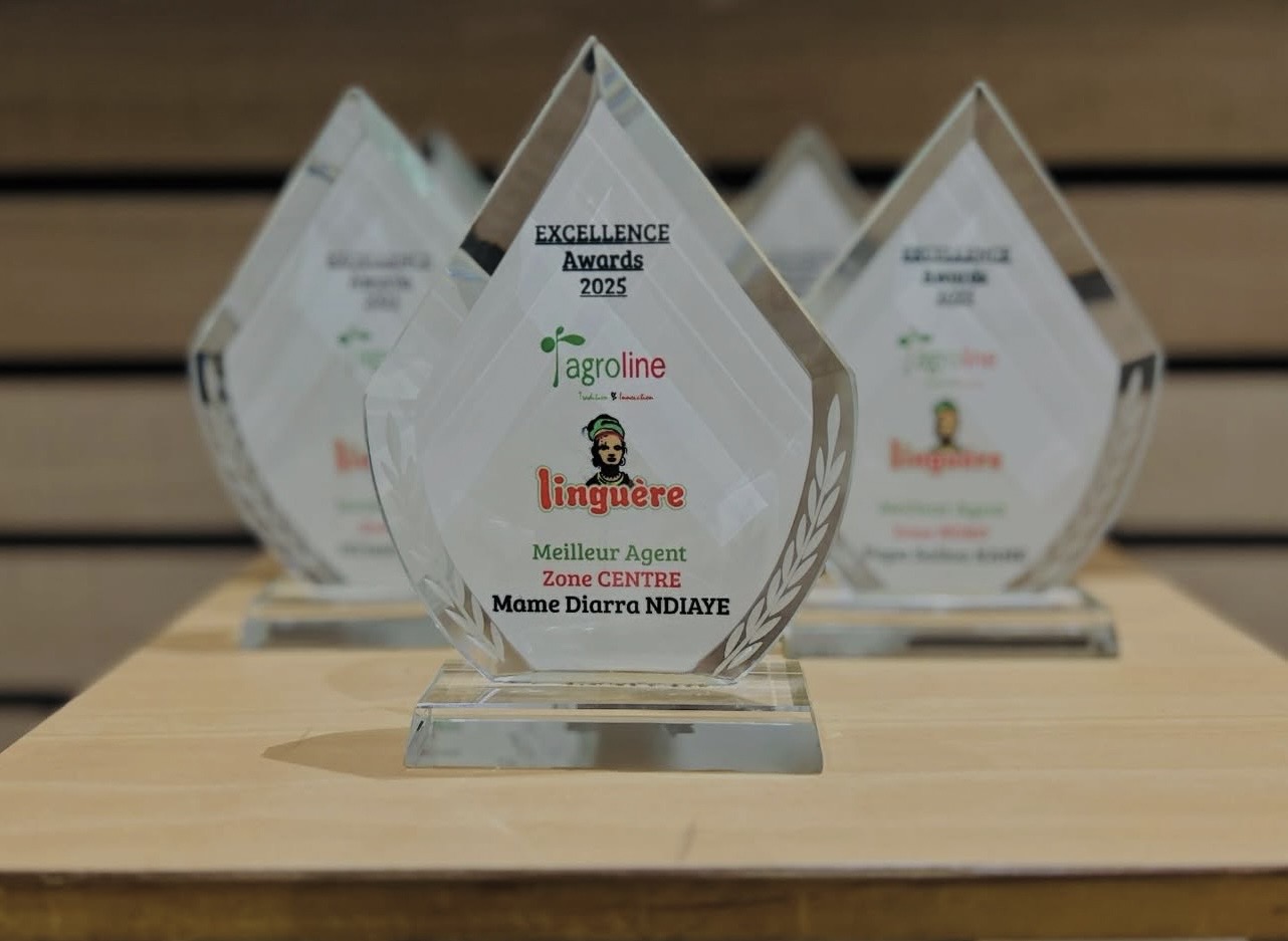 Lot trophées verre Excellence Awards