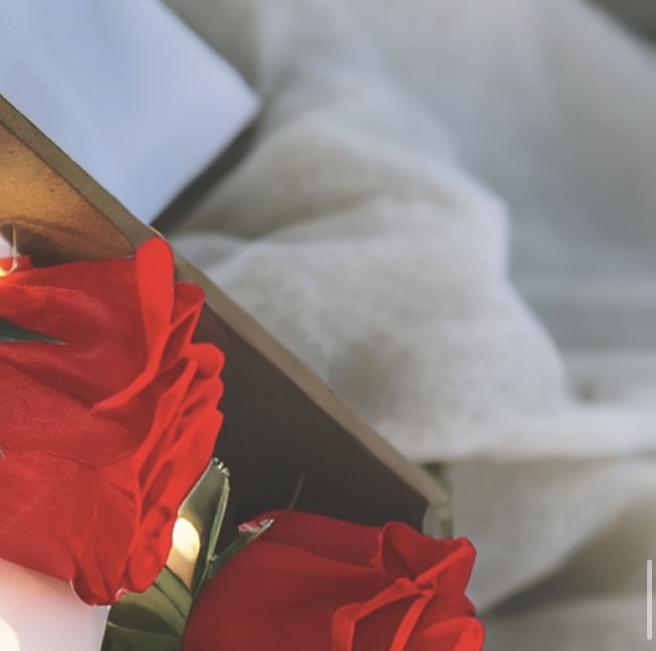 Coffret roses rouges lumineuses LED