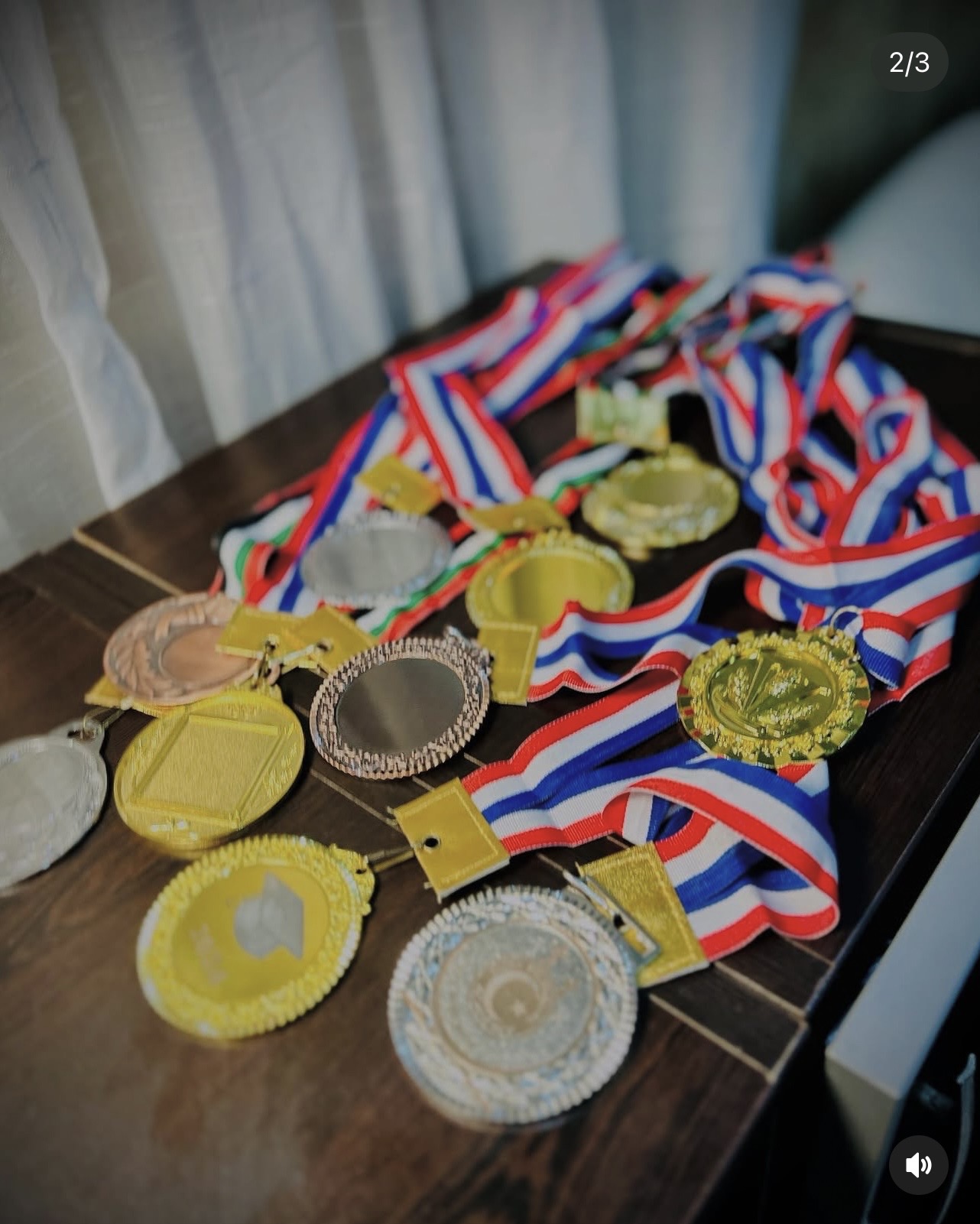 Collection médailles sportives & académiques